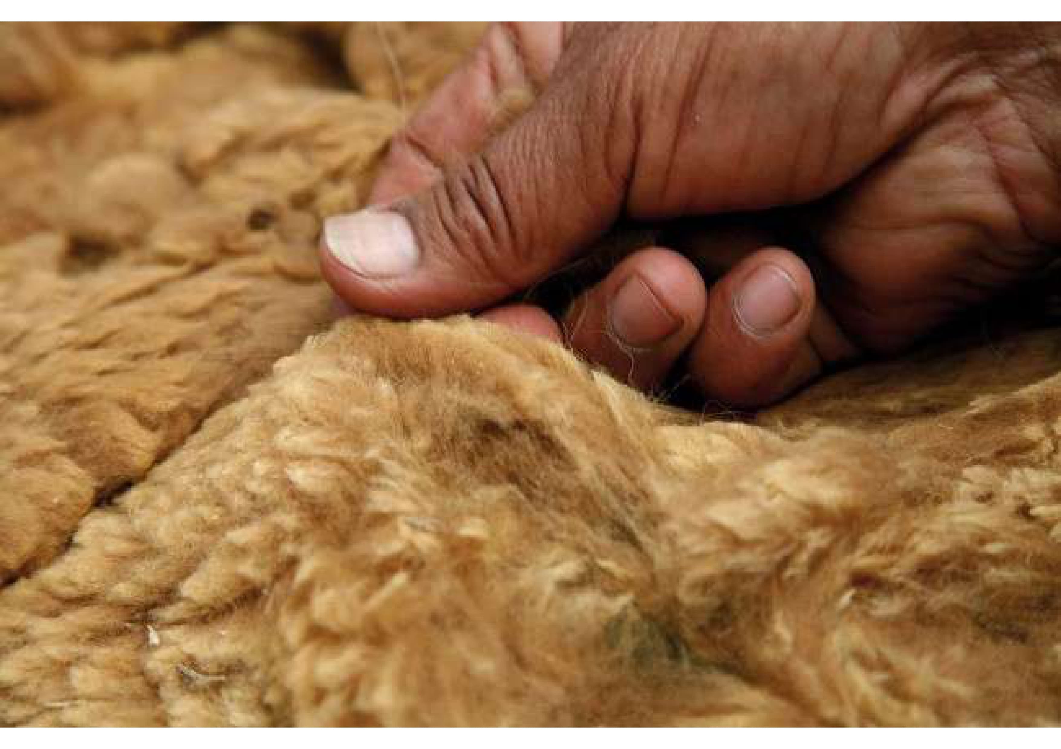 Sustainability video