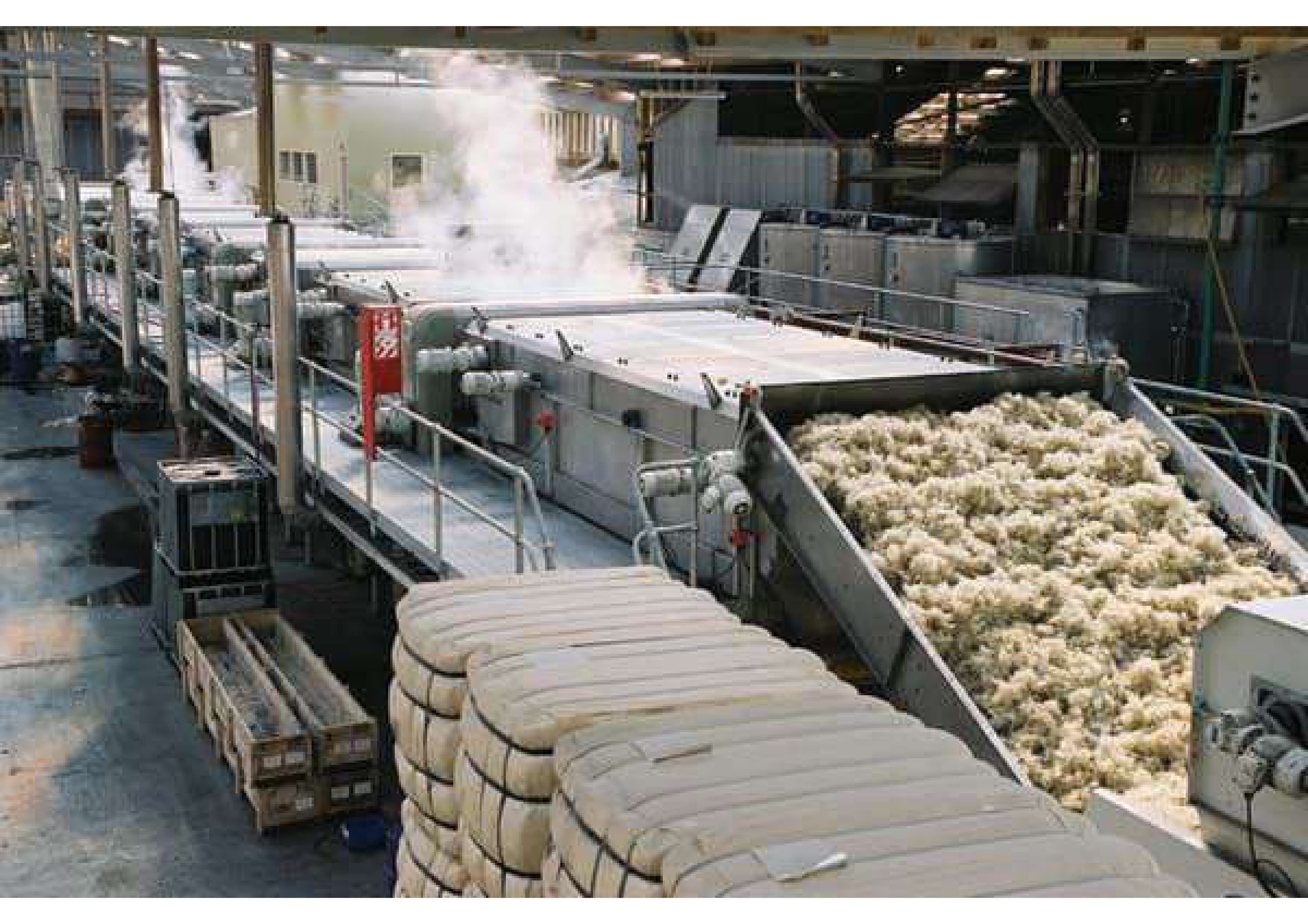 The Science Behind Wool Processing