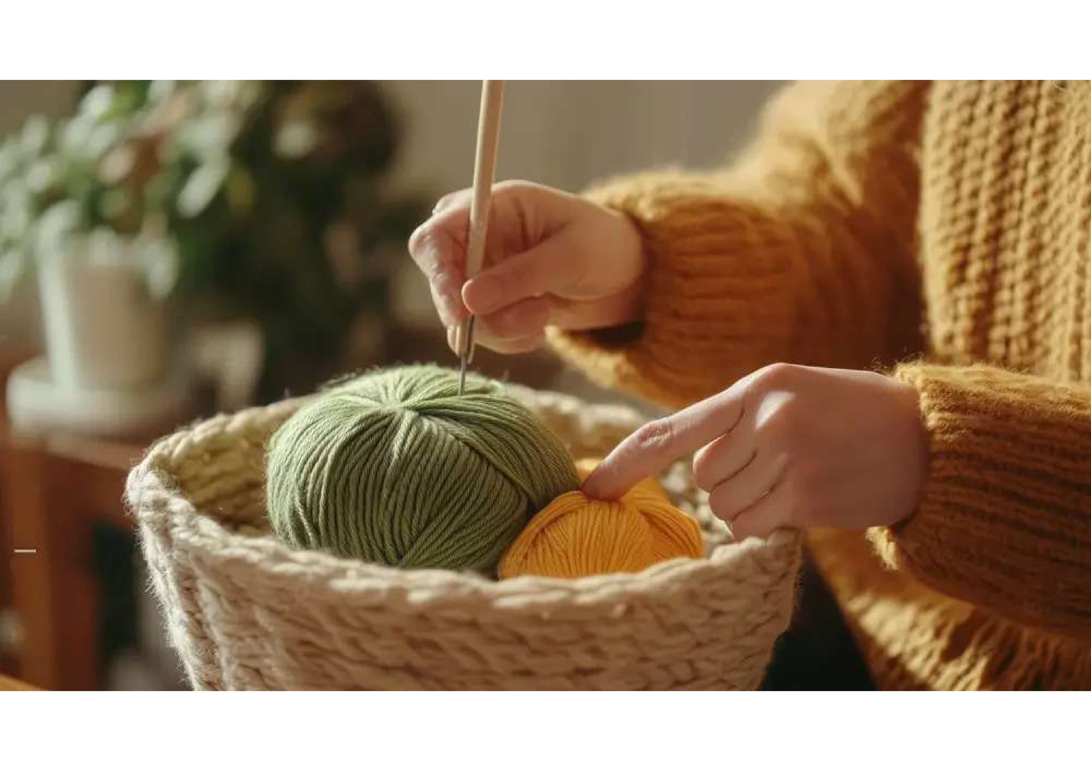 The Future of Sustainable Wool Production